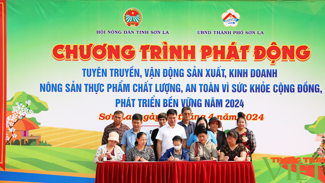 Sức lan tỏa từ phong trào nông dân sản xuất kinh doanh giỏi- Ảnh 3. Sức lan tỏa từ phong trào nông dân sản xuất kinh doanh giỏi- Ảnh 3.