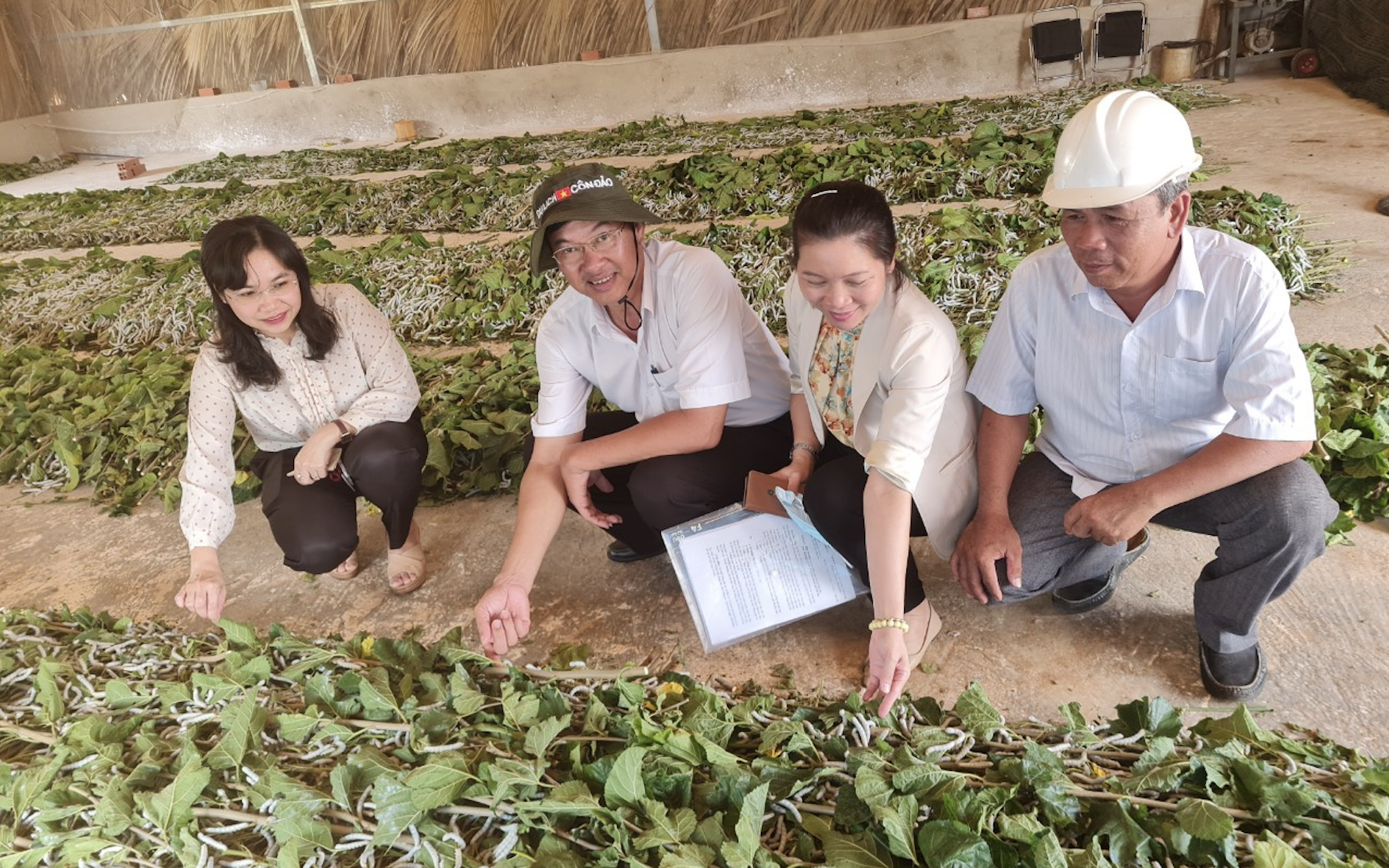 Bà Trương Thị Kim Phượng- Phó Chủ tịch Thường trực Hội Nông dân tỉnh (trái) kiểm tra việc thực hiện mô hình dân vận khéo "Trồng dâu nuôi tằm" tại xã Hoà Hiệp (huyện Xuyên Mộc). Ảnh: Hội Nông dân tỉnh Bà Rịa – Vũng Tàu