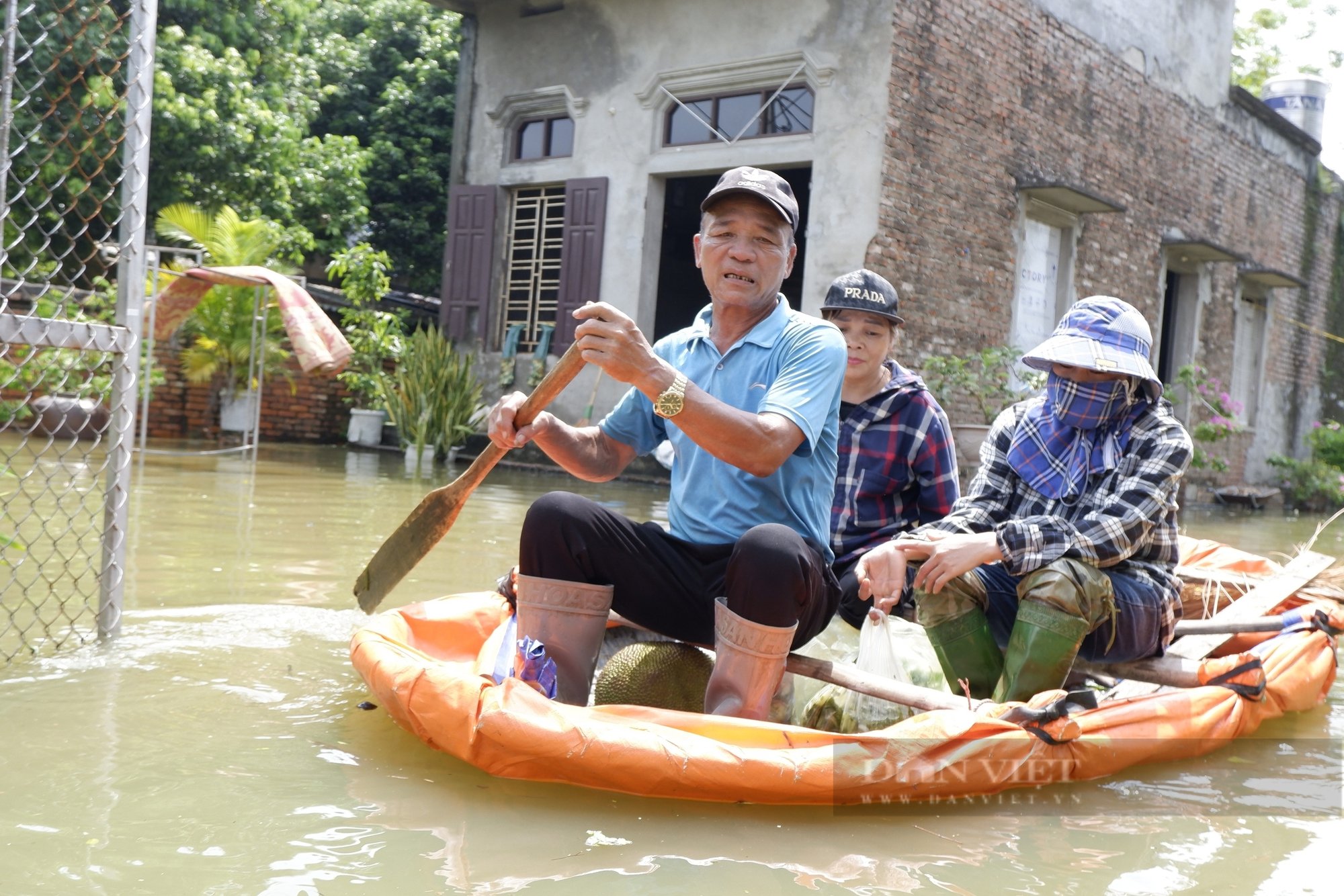 Ngập lụt Chương Mỹ: Phố thành sông, người Hà Nội di chuyển bằng thuyền, hoa màu ngập úng- Ảnh 9.