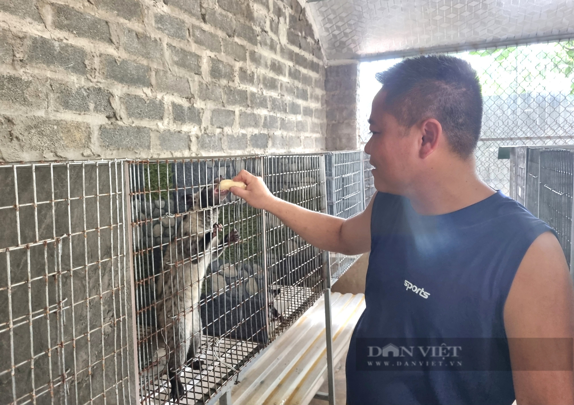 Bỏ nuôi lợn, gà chuyển sang nuôi loài động vật hoang dã, một ông trưởng thôn ở Ninh Bình gặp cái kết - Ảnh 1.
