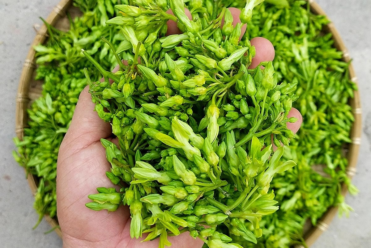 Vừa là hoa, là rau lại là vị "thuốc quý trời ban", mùa hè loại rau này bán đầy ngoài chợ nhưng ít người biết - Ảnh 1.