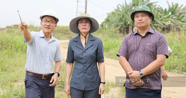 Quảng Ngãi: Chủ đầu tư phải thuê tư vấn “đủ tầm” tham gia kiểm tra hồ sơ hoàn thành 5 dự án - Ảnh 6.