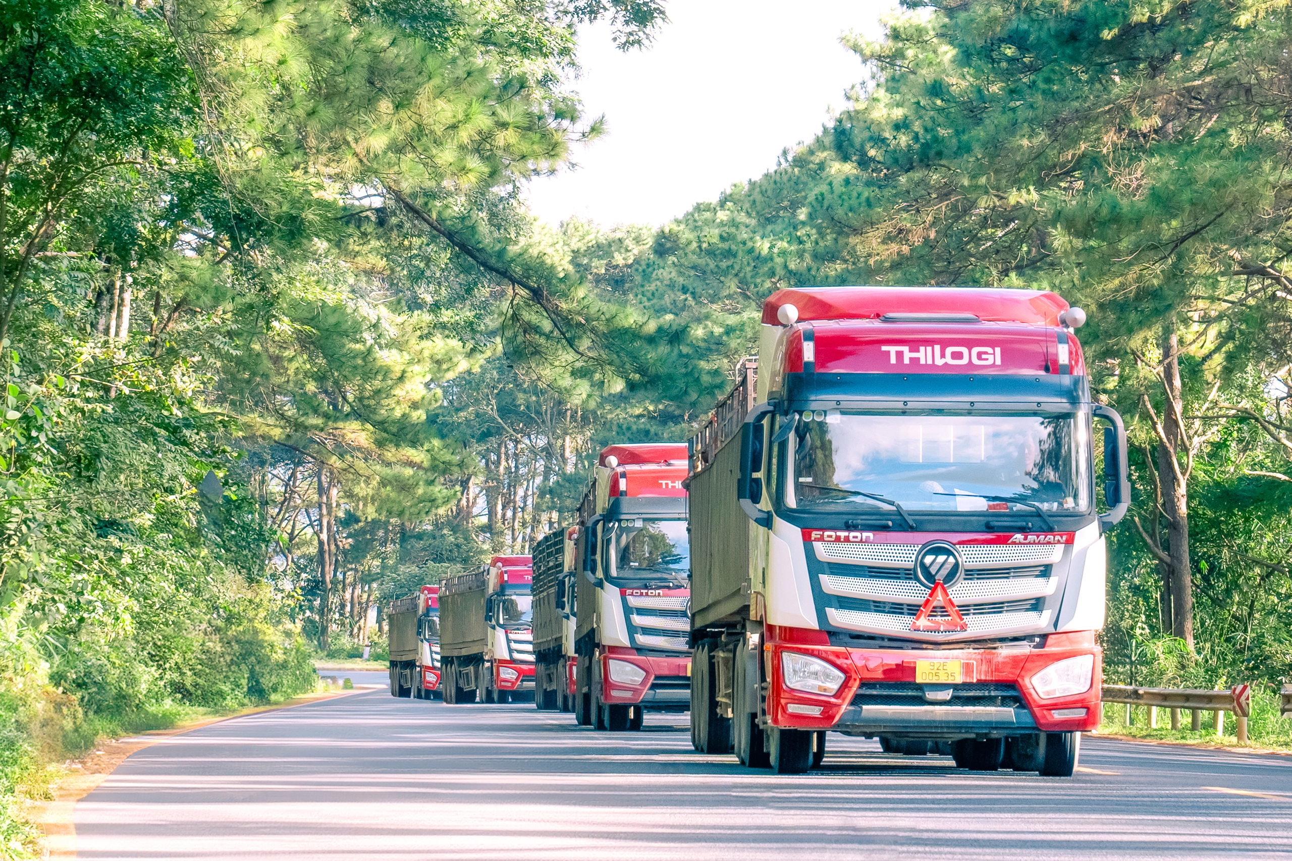 THILOGI không ngừng phát triển dịch vụ logistics trọn gói- Ảnh 3.