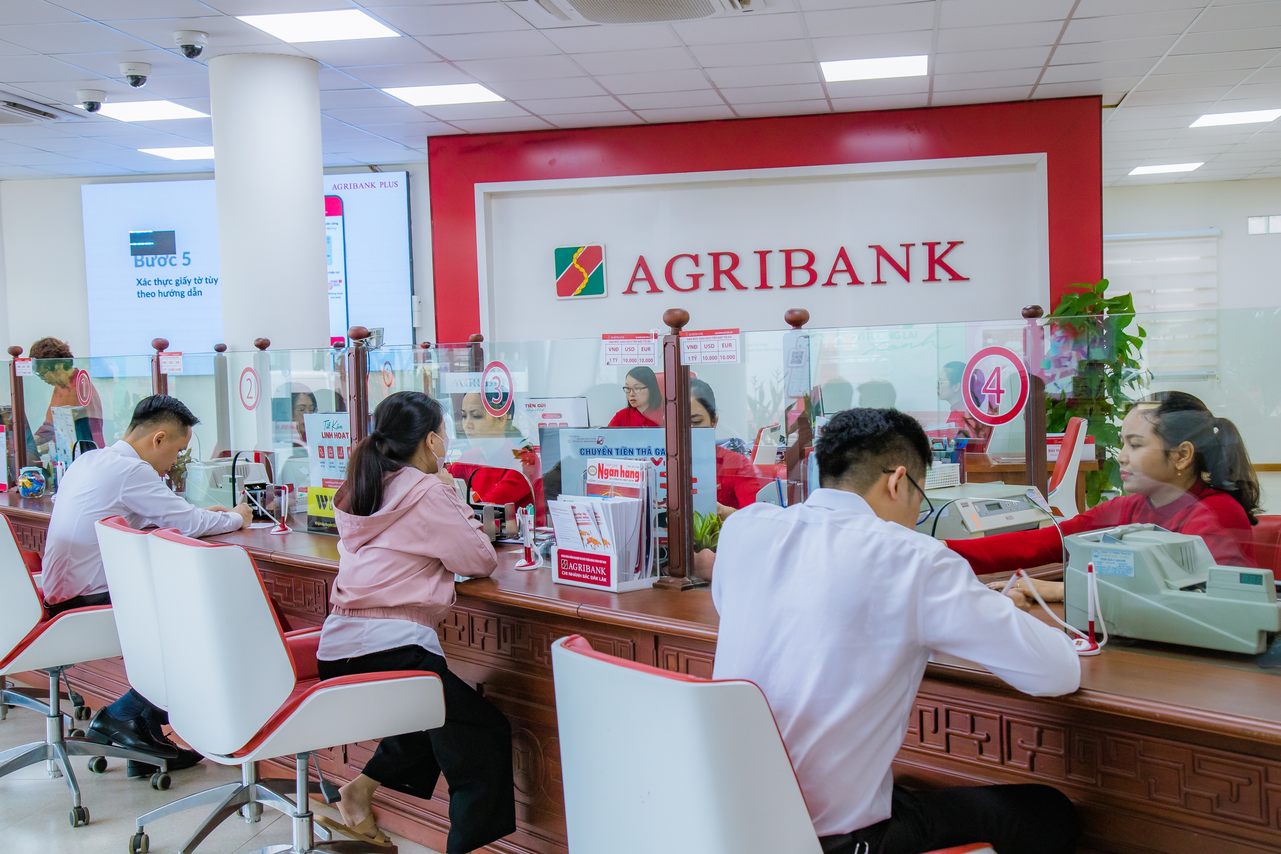 Làm giàu từ nguồn vốn ưu đãi Agribank Bắc Đắk Lắk - Ảnh 6.