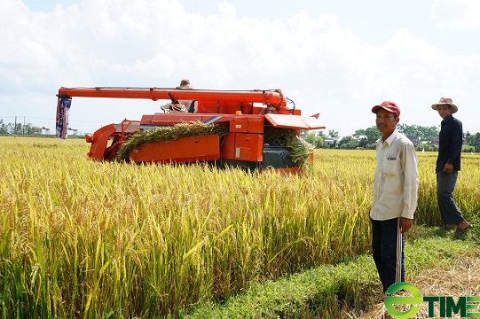 Chín giải pháp trọng tâm mà ngành nông nghiệp Quảng Nam giúp hợp tác xã nông nghiệp phát triển - Ảnh 2.