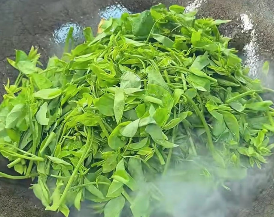 Loại rau có kali gấp 3 lần dưa chuột, thanh nhiệt, cải thiện giấc ngủ, ngừa loãng xương, xào tỏi cực thơm - Ảnh 10.