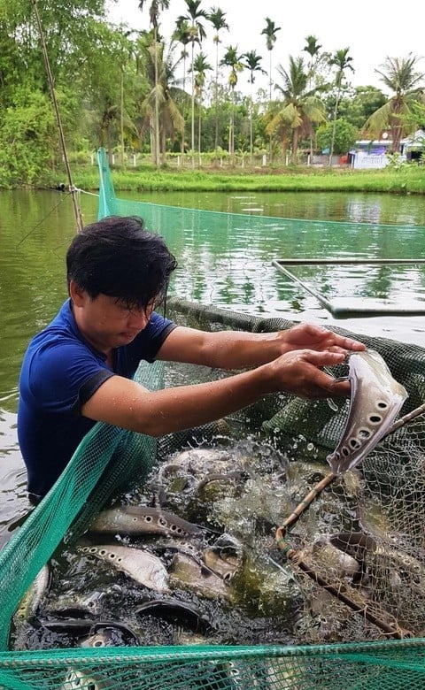 Nhiều kỳ vọng trước thềm lễ ký kết chương trình phối hợp giữa Báo NTNN/Dân Việt và Hội Nông dân TP.Đà Nẵng- Ảnh 4.