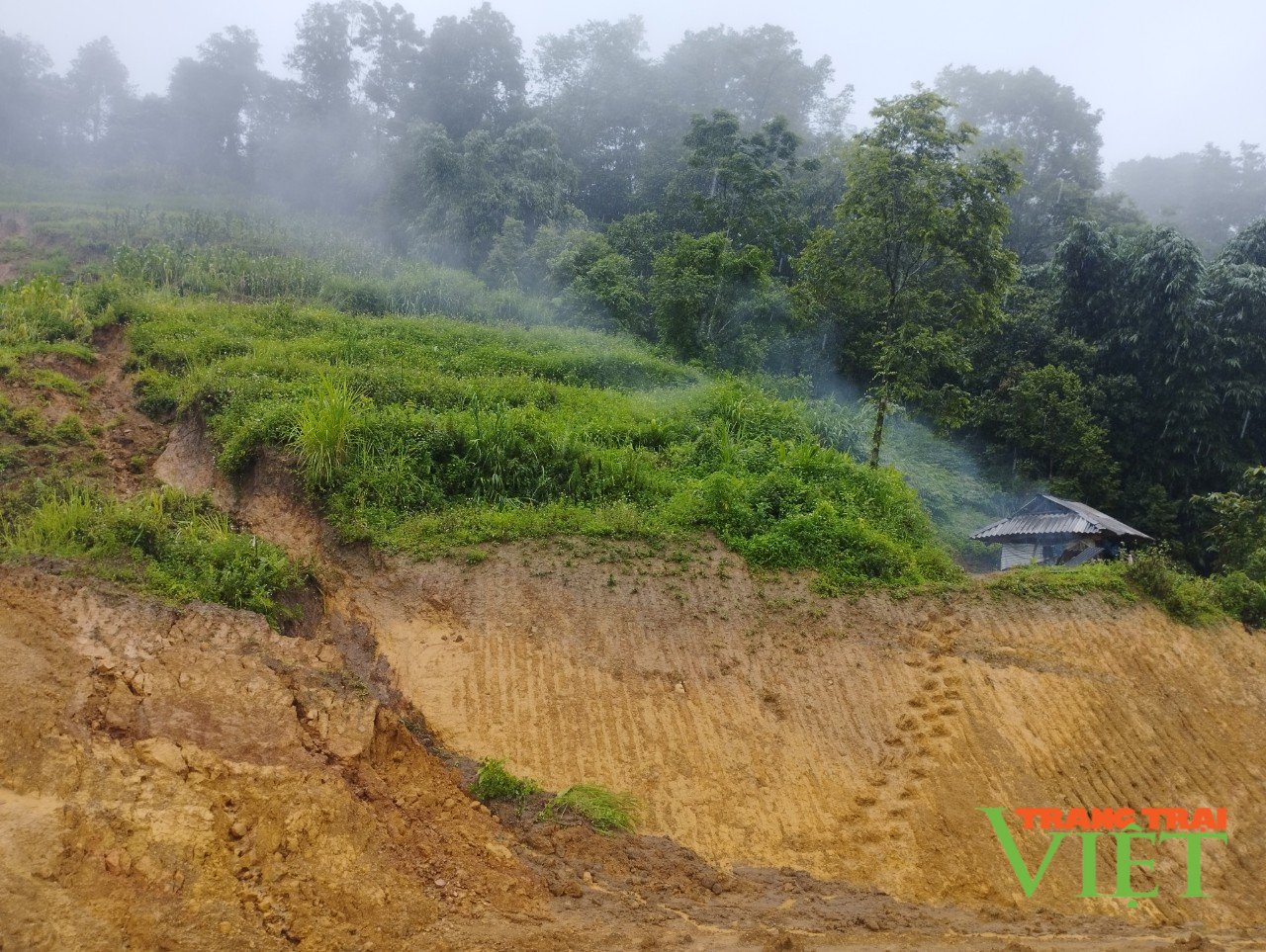 Tam Đường tăng cường các biện pháp ứng phó với mưa lũ, sạt lở- Ảnh 1. Tam Đường tăng cường các biện pháp ứng phó với mưa lũ, sạt lở- Ảnh 1.