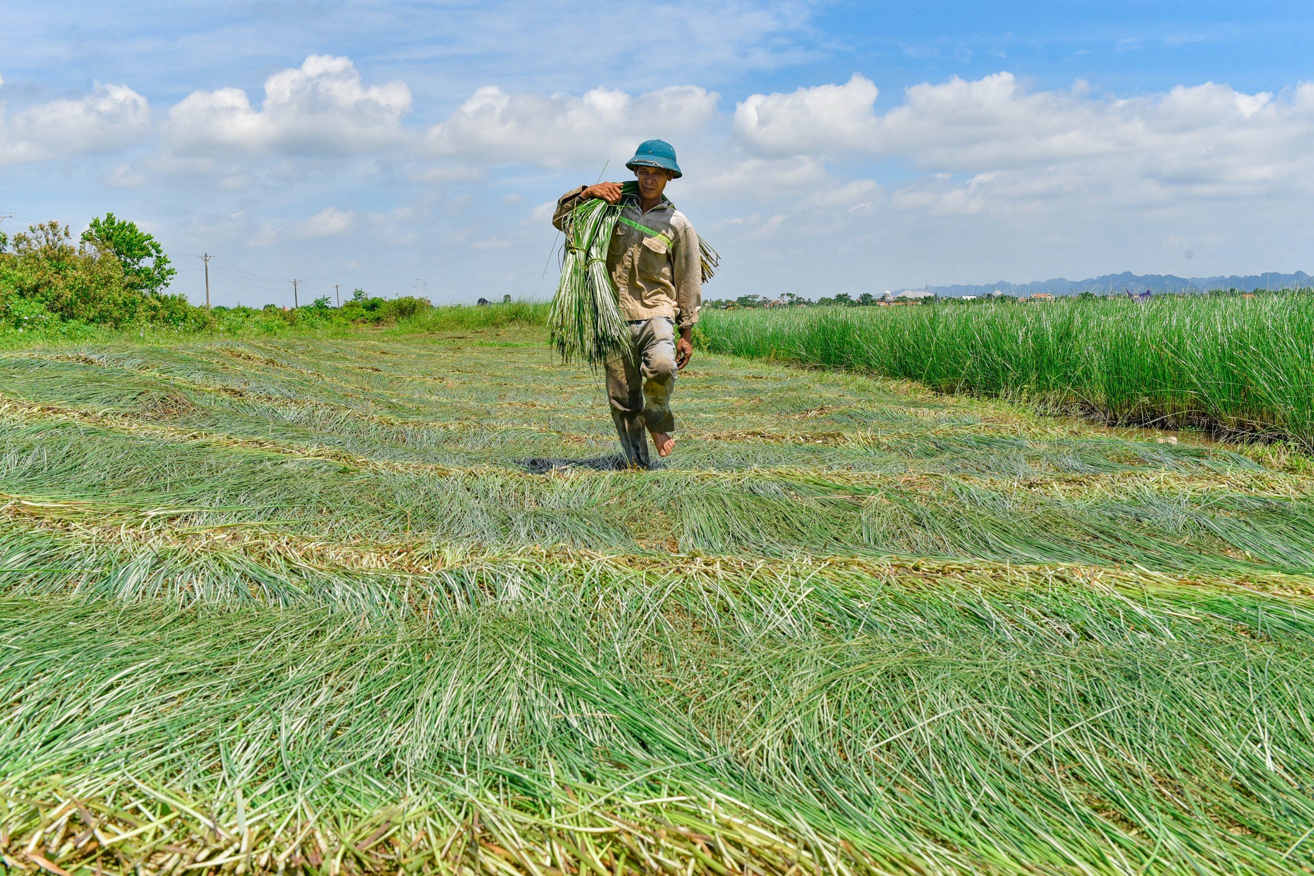 Nâng tầm sản phẩm OCOP Thanh Hóa: Chất lượng là "chìa khóa vàng"- Ảnh 2.
