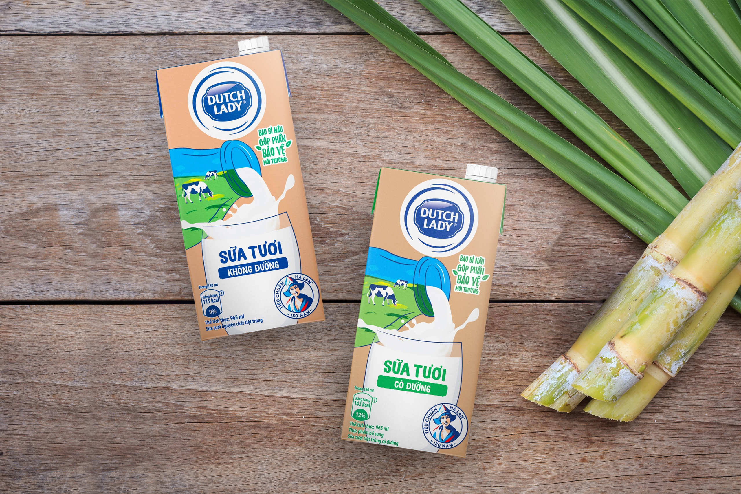 Tiên phong hiện thực sứ mệnh dinh dưỡng, FrieslandCampina Việt Nam ghi dấu ấn phát triển bền vững- Ảnh 4.