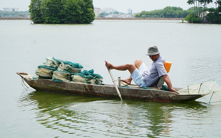 Bà Rịa - Vũng Tàu “chạy đua” chống khai thác IUU trước đợt kiểm tra thứ 5 của EC - Ảnh 2.