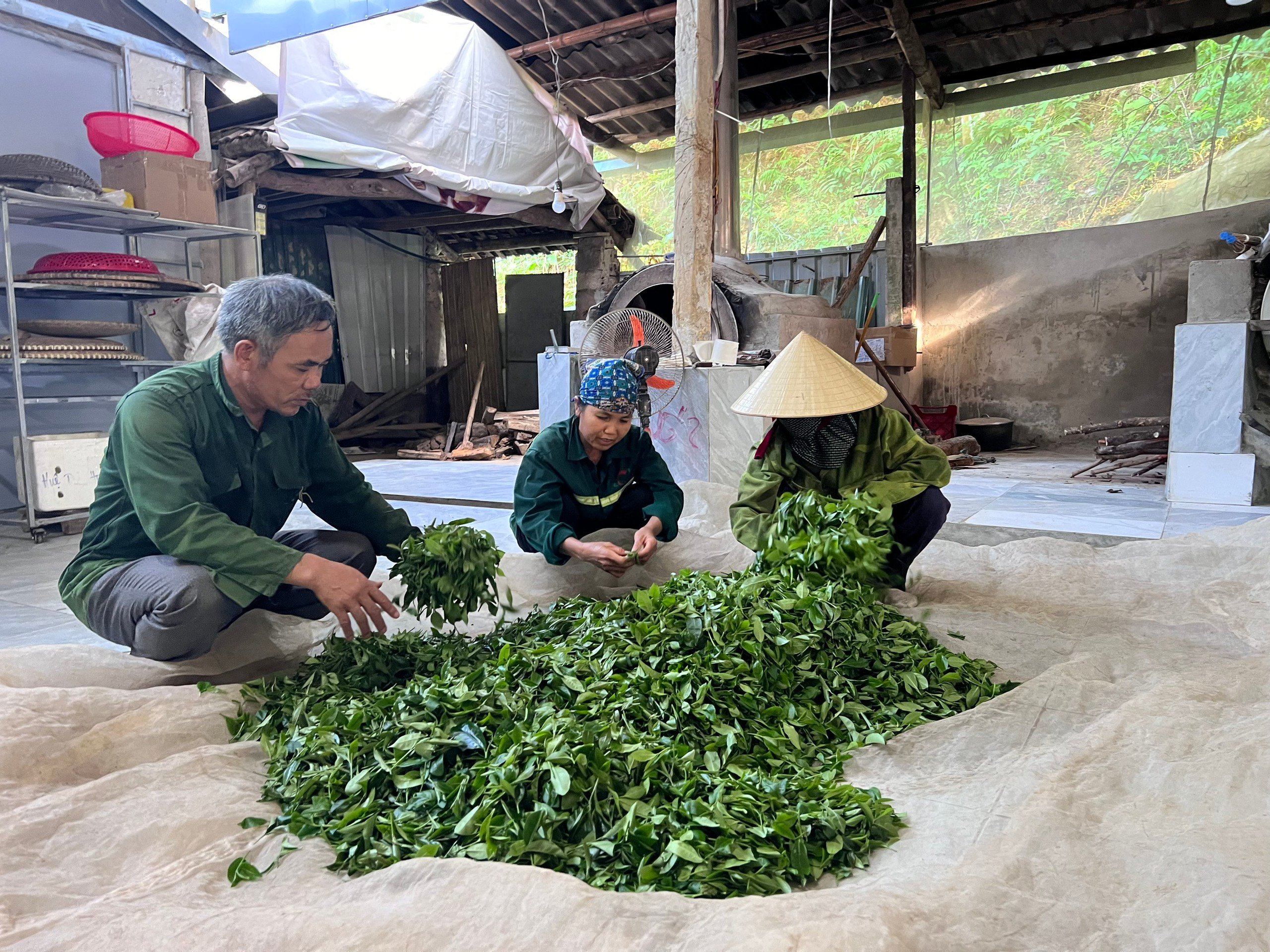 Nâng tầm sản phẩm OCOP Thanh Hóa: Chất lượng là "chìa khóa vàng"- Ảnh 1.