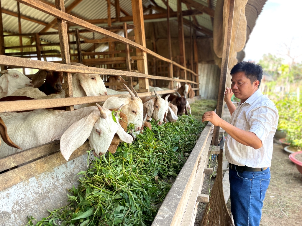 Chính phủ ban hành nhiều chính sách hỗ trợ phát triển chăn nuôi, có mức hỗ trợ lên tới 10 tỷ đồng - Ảnh 2.