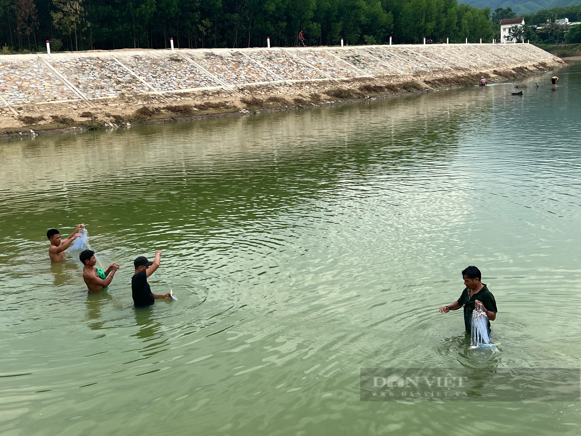 "Hồi hộp" xem màn giăng lưới bắt cá trên sông ở Bình Định- Ảnh 2.