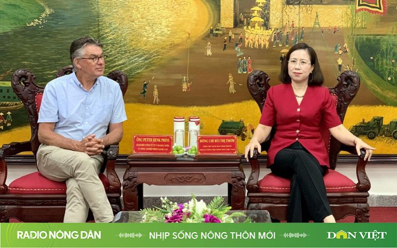 Nhịp sống nông thôn mới ngày 09/8/2024 - Ảnh 1.