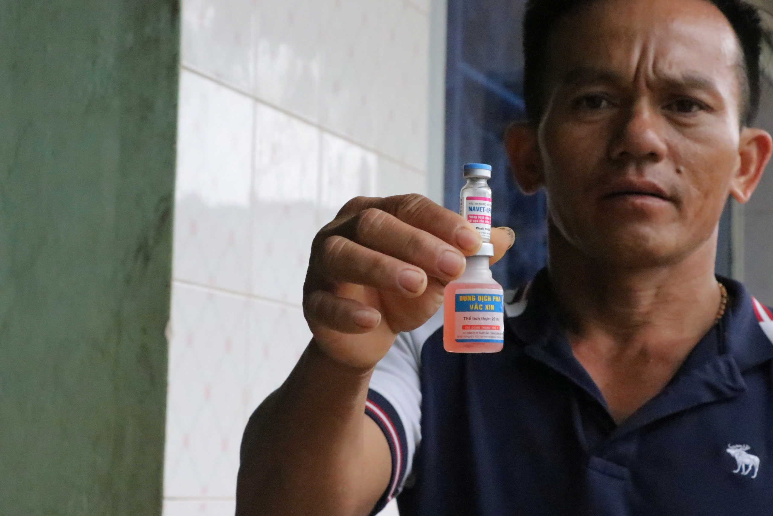 Bò sữa chết hàng loạt sau tiêm vaccine của Công ty Navetco: Navetco mới trúng thầu lần đầu, tiếp tục tìm nguyên nhân- Ảnh 4.