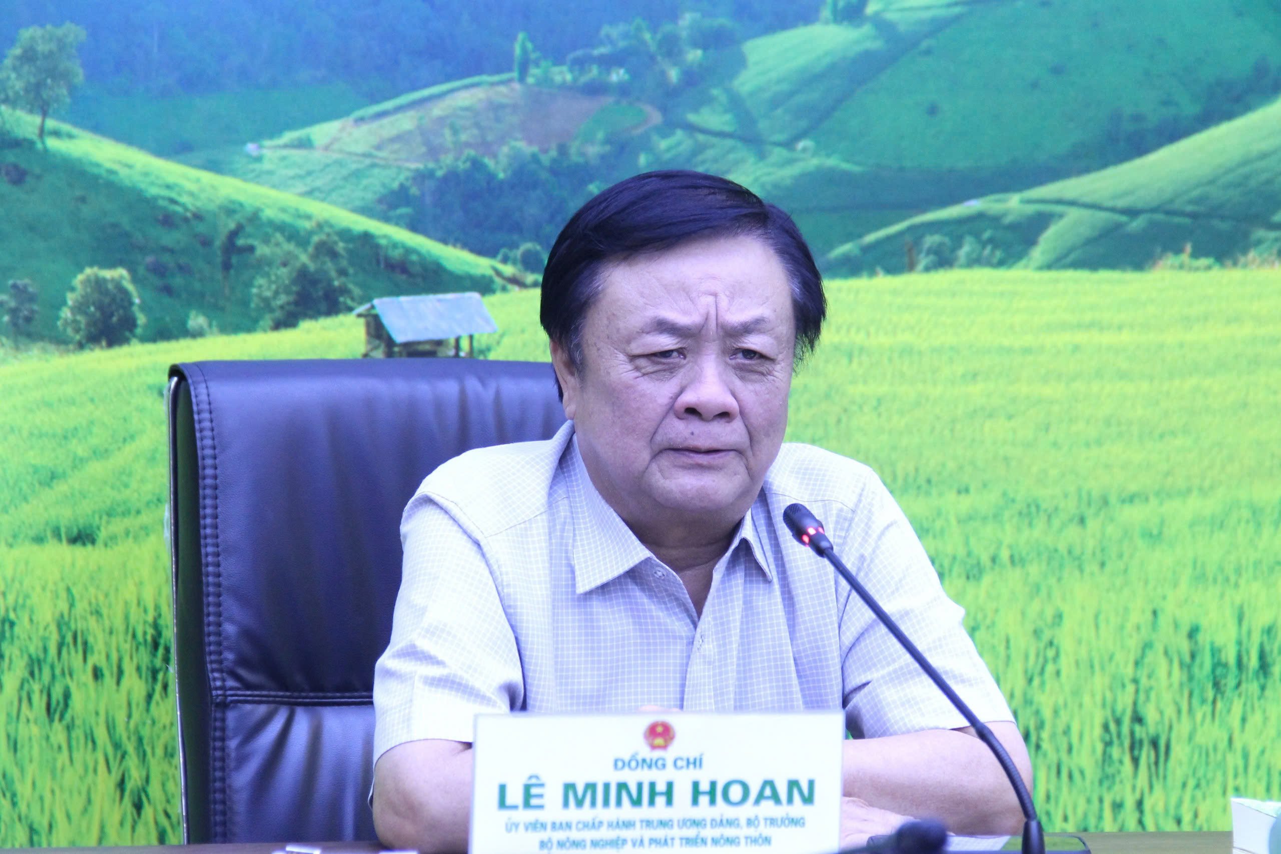 Đặc tính "kỳ diệu" của một loại bèo xưa có nhiều ở Việt Nam - Ảnh 5.