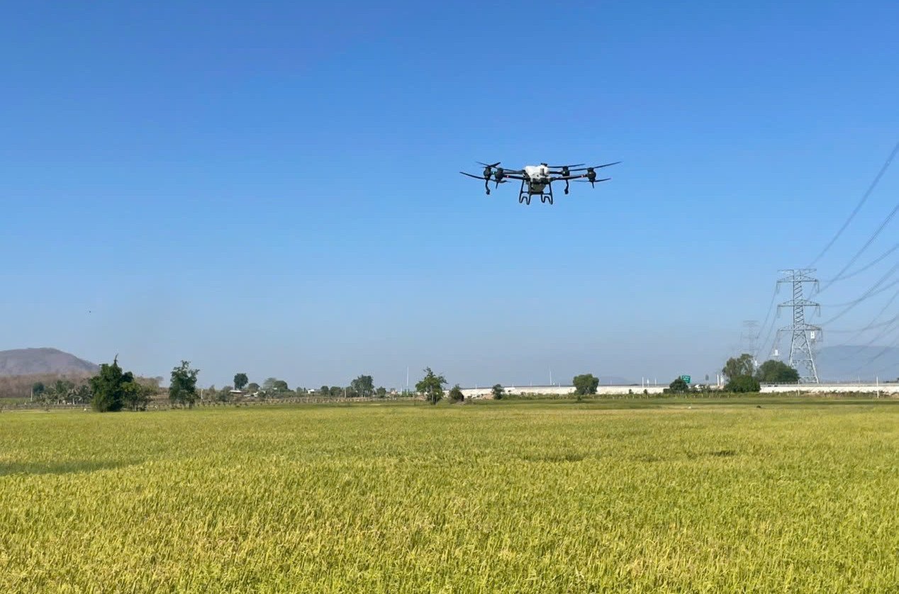 Chuyển đổi số ở Bình Thuận: Công nghệ số góp phần phát triển ngành nông nghiệp, trái thanh long - Ảnh 4.