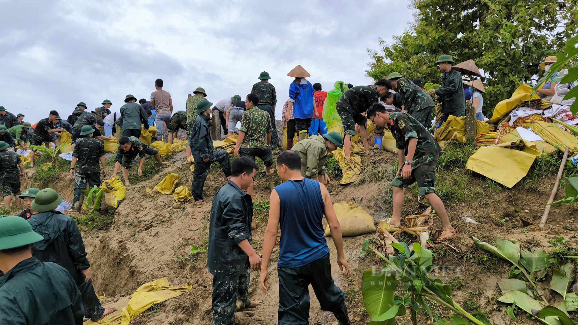 Tin mới nhất lũ trên sông Hồng tại Hà Nội và các sông Miền Bắc chiều nay 11/9: Hàng loạt sông trên báo động 3 - Ảnh 3.