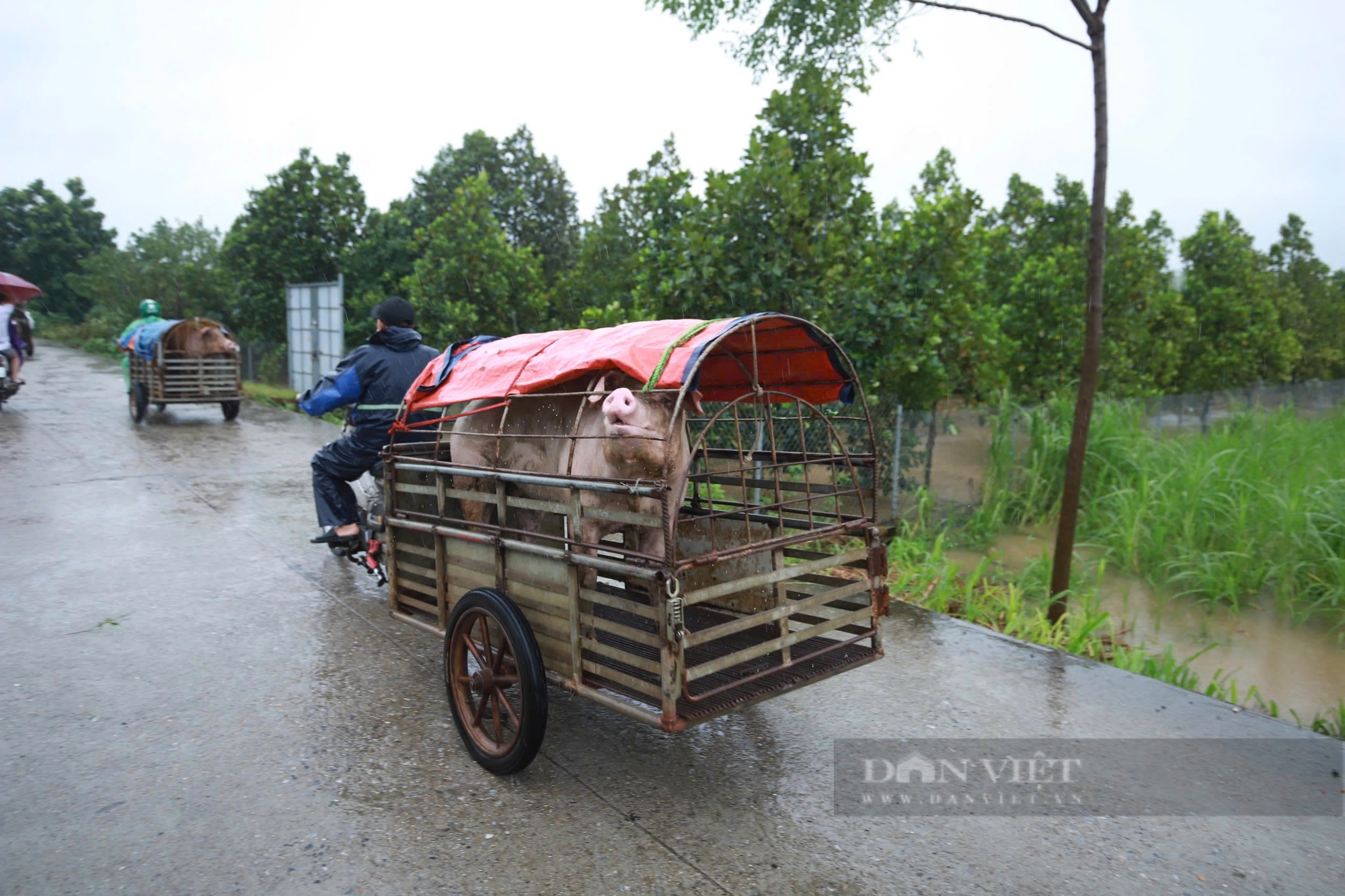 Tin mới nhất lũ trên sông Hồng tại Hà Nội và các sông Miền Bắc chiều nay 11/9: Hàng loạt sông trên báo động 3 - Ảnh 1.
