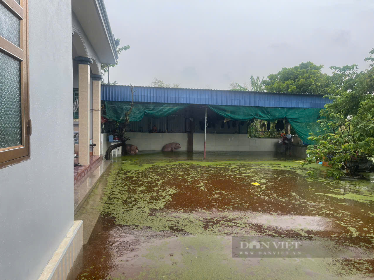 Tin mới nhất lũ trên sông Hồng tại Hà Nội và các sông Miền Bắc chiều nay 11/9: Đóng cửa khẩu phường Phú Thượng - Ảnh 3.