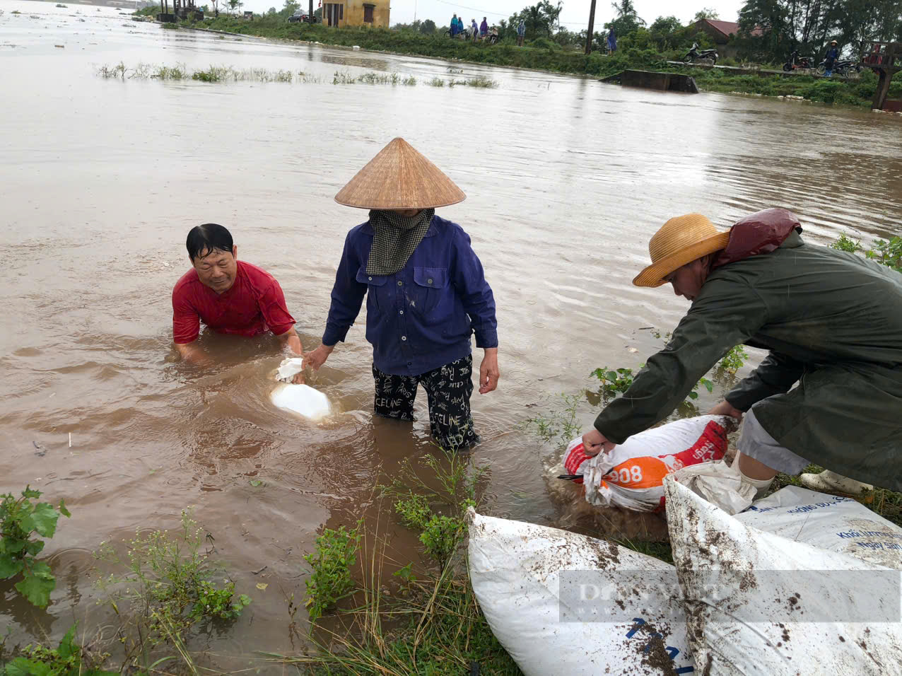Tin mới nhất lũ trên sông Hồng tại Hà Nội và các sông Miền Bắc chiều nay 11/9: Đóng cửa khẩu phường Phú Thượng - Ảnh 2.
