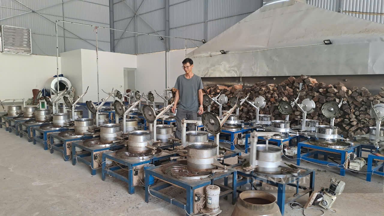 Khởi nghiệp thành công với nghề làm chè, anh nông dân Thái Nguyên thu 3 tỷ đồng mỗi năm- Ảnh 1.