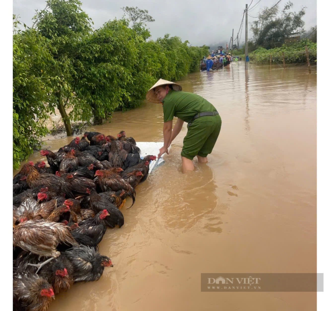 Lũ trên sông Hồng tại Hà Nội vượt báo động 2 hơn 0,42m, Bắc Ninh huy động hàng nghìn người gia cố sông Cầu - Ảnh 3.