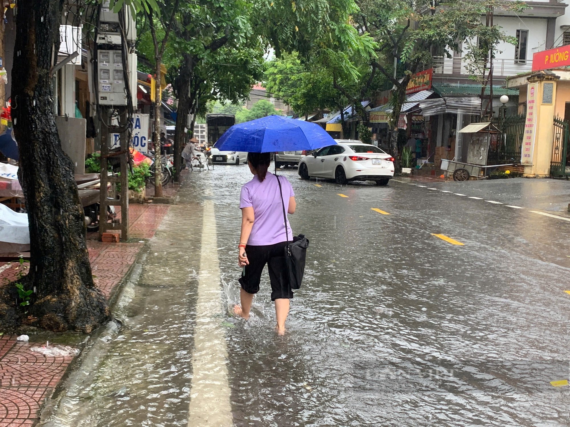 Lũ sông Hồng tại Hà Nội chiều nay sẽ đạt đỉnh, dưới báo động 3 khoảng 20cm, cả nước có 201 người chết, mất tích - Ảnh 2.