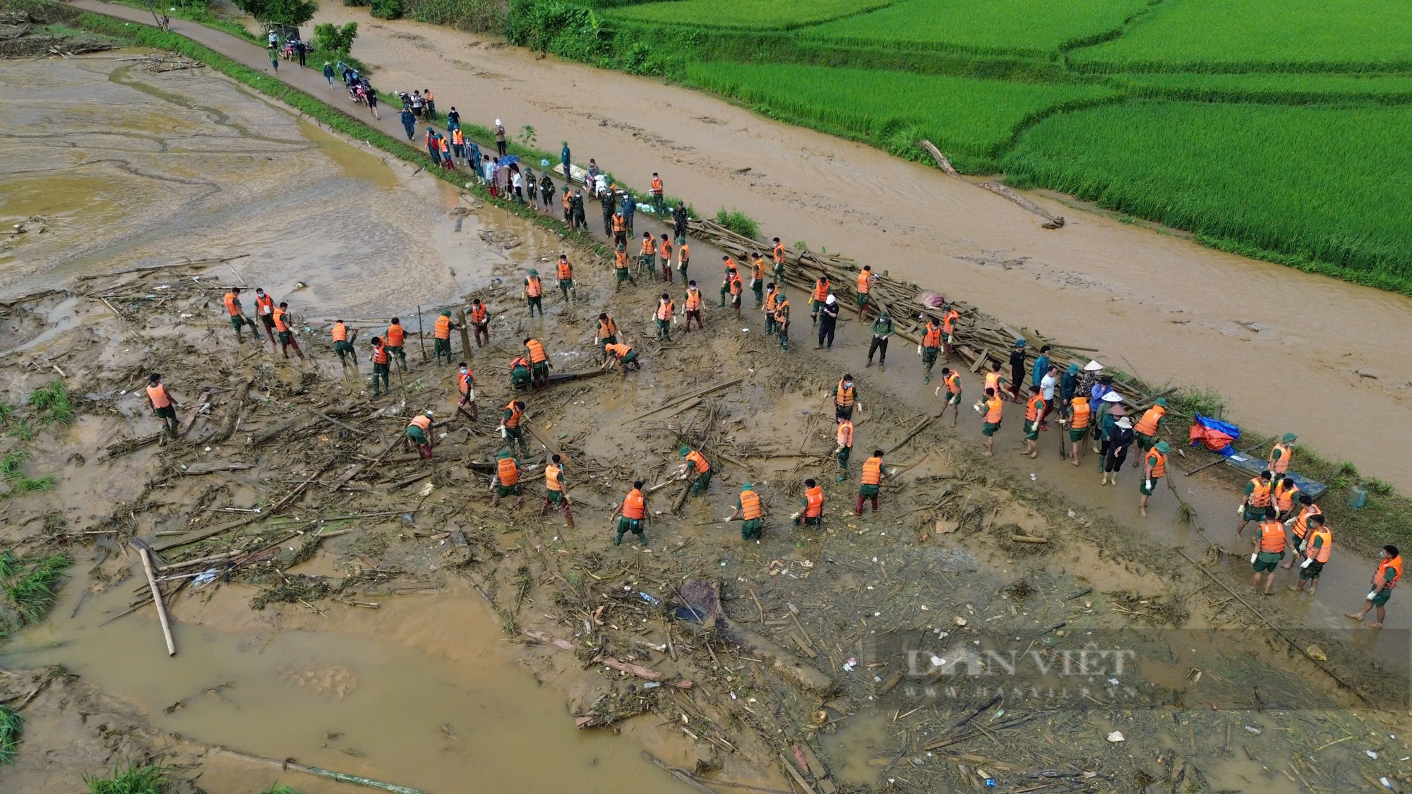 Bộ đội Biên phòng mang theo chó nghiệp vụ hỗ trợ tìm kiếm nạn nhân lũ quét ở Làng Nủ - Ảnh 1.