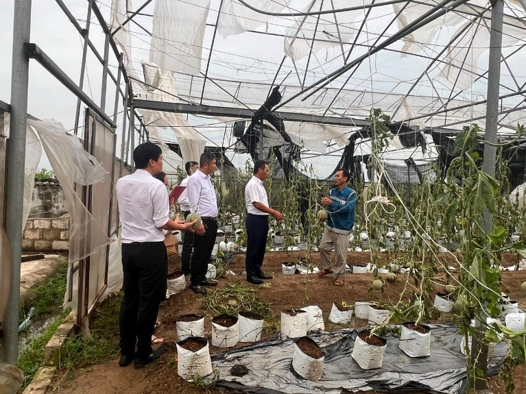 Phó Tổng Giám đốc Agribank: Dự kiến giảm 0,5%-2% lãi suất vay cho khách hàng bị thiệt hại do bão ngay trong tuần này - Ảnh 3.