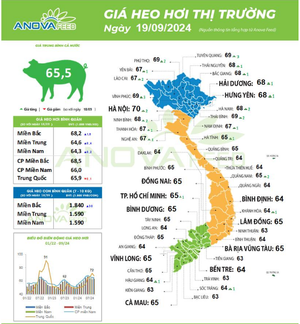 Giá lợn hơi hôm nay tiếp tục tăng, giá lợn miền Bắc lên rất nhanh, chạm mốc 70.000 đồng/kg - Ảnh 1.