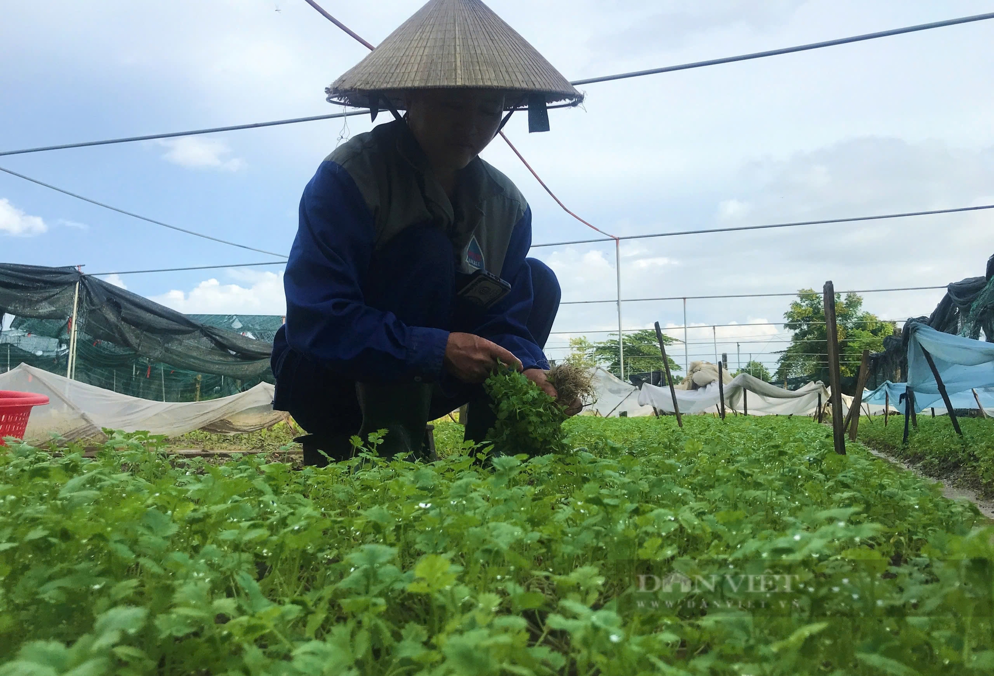 Bão số 4 đang hướng vào miền Trung: Bắt đầu có mưa lớn tại Quảng Bình, Quảng Trị, nhiều tỉnh cho học sinh nghỉ học - Ảnh 5.