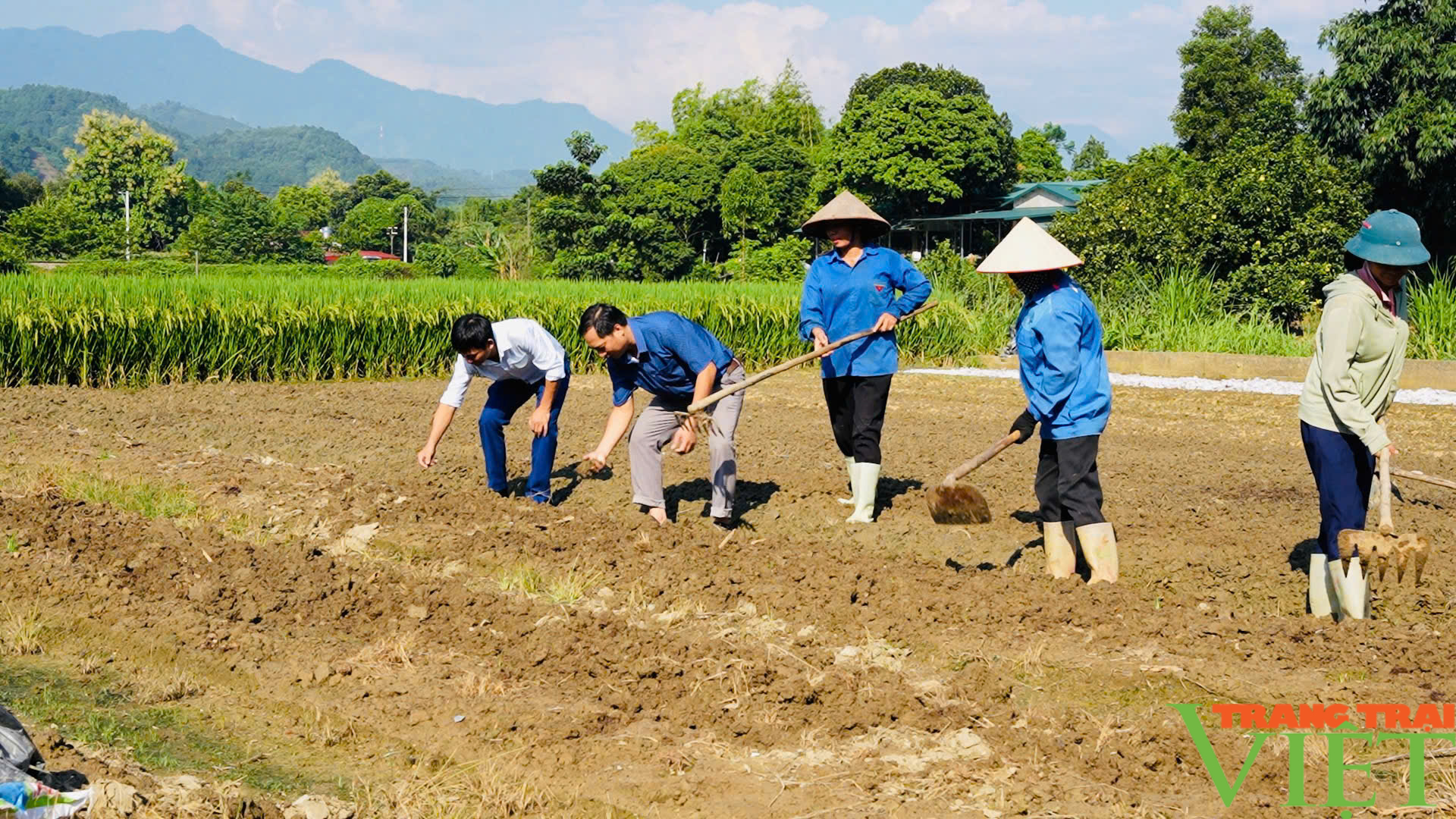 Nông dân Lào Cai khắc phục thiên tai, khôi phục sản xuất - Ảnh 3.