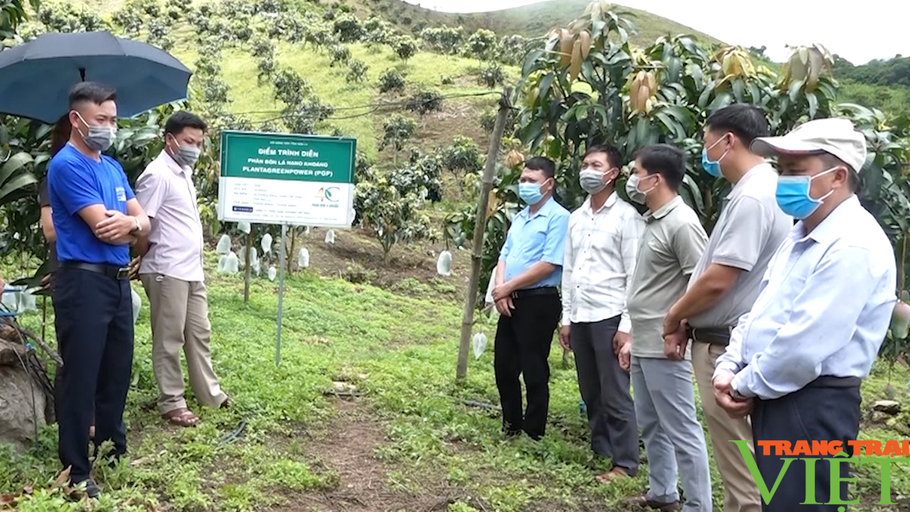 Yên Châu: Đẩy mạnh phát triển HTX, ngành nghề nông thôn, ứng dụng công nghệ cao trong sản xuất - Ảnh 1.