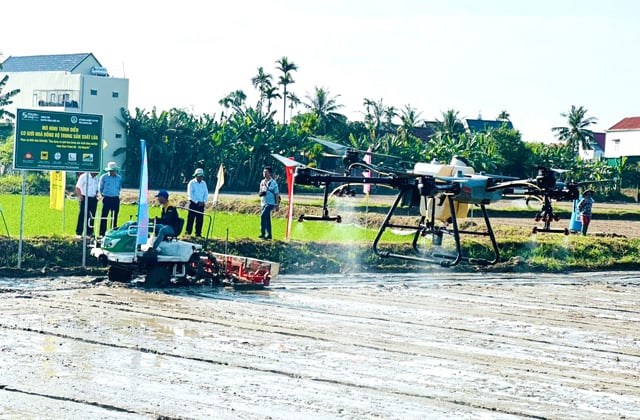 “Dấu ấn” số hoá của ngành nông nghiệp tỉnh Quảng Ngãi- Ảnh 8.