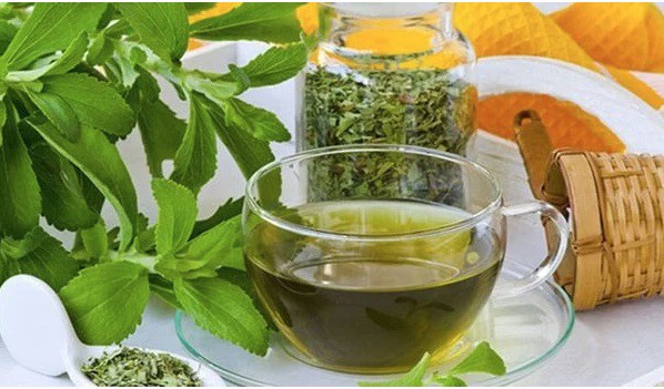 Loại cây cực ngọt nhưng lại là "thần dược" với người mắc tiểu đường- Ảnh 2. Loại cây cực ngọt nhưng lại là "thần dược" với người mắc tiểu đường- Ảnh 2.