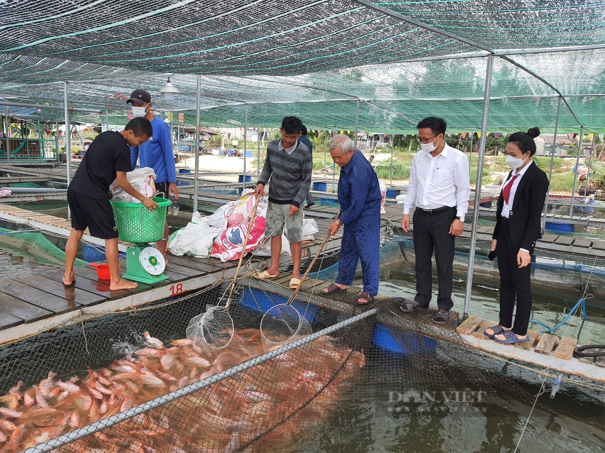 Quảng Nam: Phát triển kinh tế làm đòn bẩy để Duy Xuyên hướng đến huyện nông thôn mới nâng cao - Ảnh 5.
