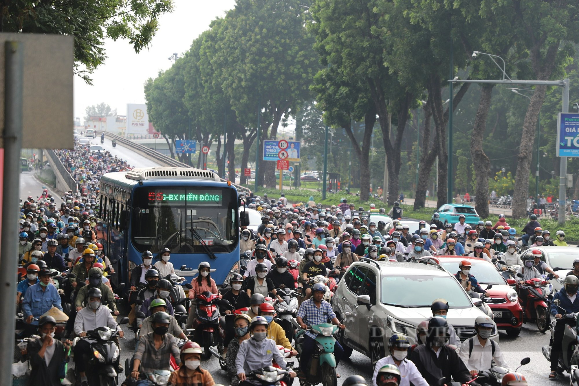 TP.HCM đề xuất thu phí ô tô vào trung tâm - Ảnh 1.