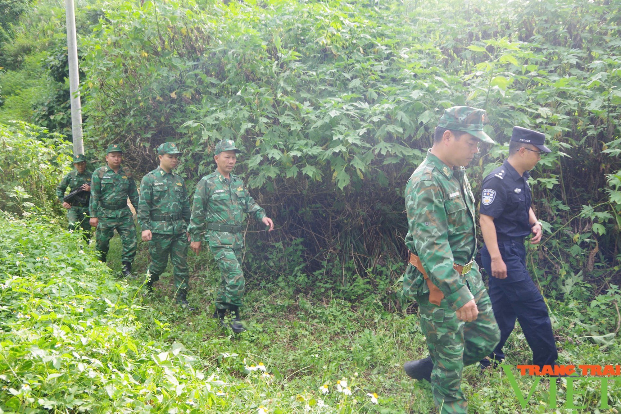 Bộ Tư lệnh Bộ đội biên phòng kiểm tra công tác biên phòng tỉnh Lai Châu - Ảnh 10.