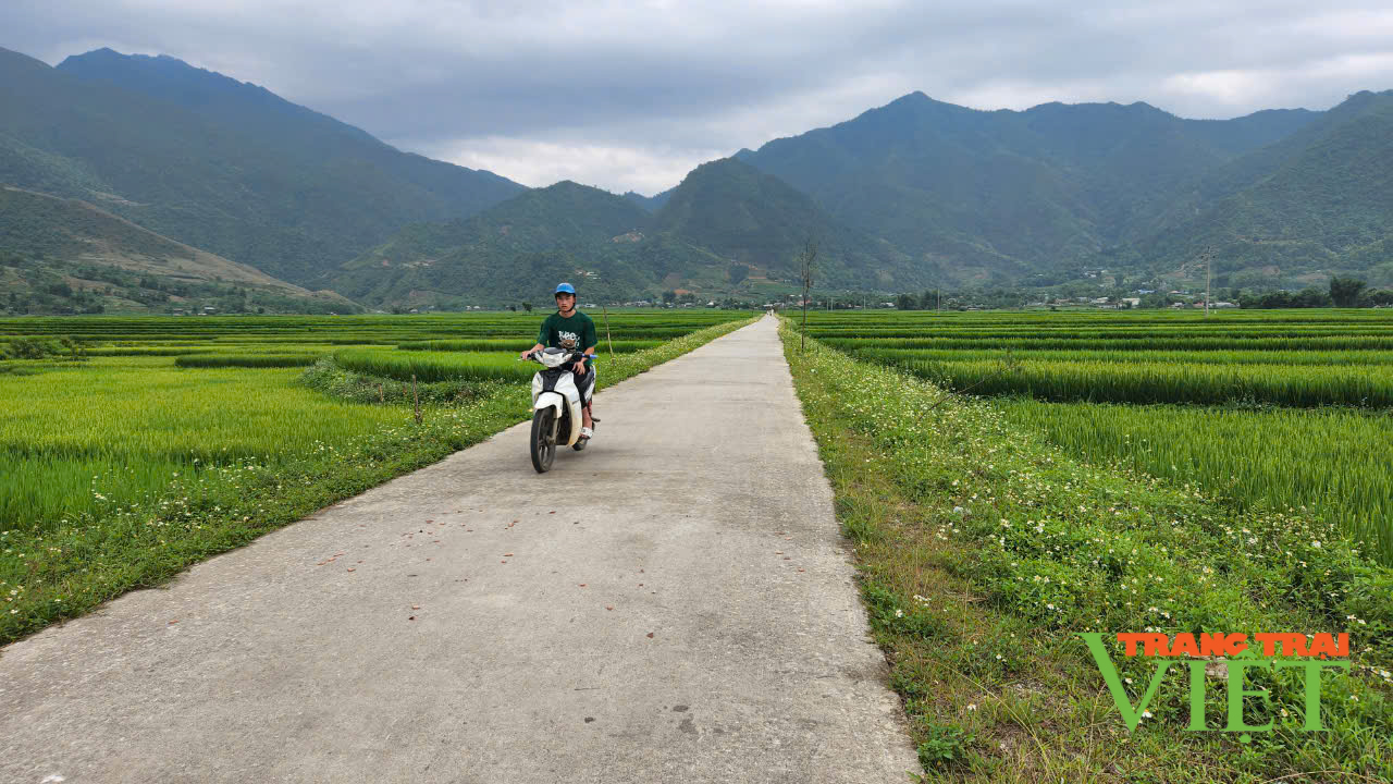 Than Uyên phấn đấu cán đích huyện nông thôn mới vào năm 2025 - Ảnh 1.