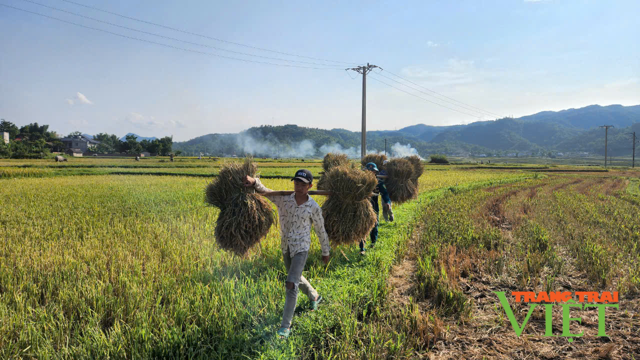 Than Uyên phấn đấu cán đích huyện nông thôn mới vào năm 2025 - Ảnh 4.