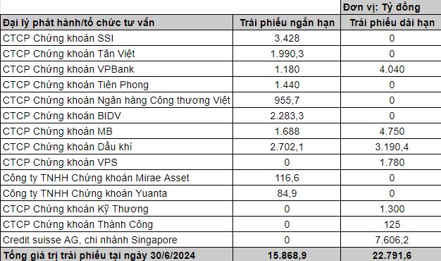 Kiểm toán nghi ngờ khả năng hoạt động liên tục của Novaland - Ảnh 2.