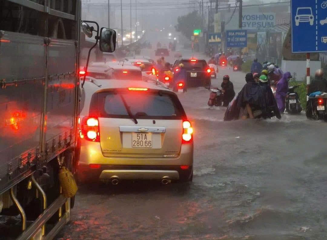 TP.HCM lên kế hoạch ứng phó ảnh hưởng bão Yagi - Ảnh 2.