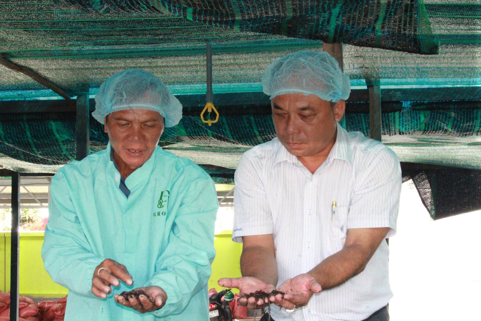  8X Khánh Hòa làm nông nghiệp tuần hoàn để giới thiệu cho nông dân hai huyện miền núi- Ảnh 2.