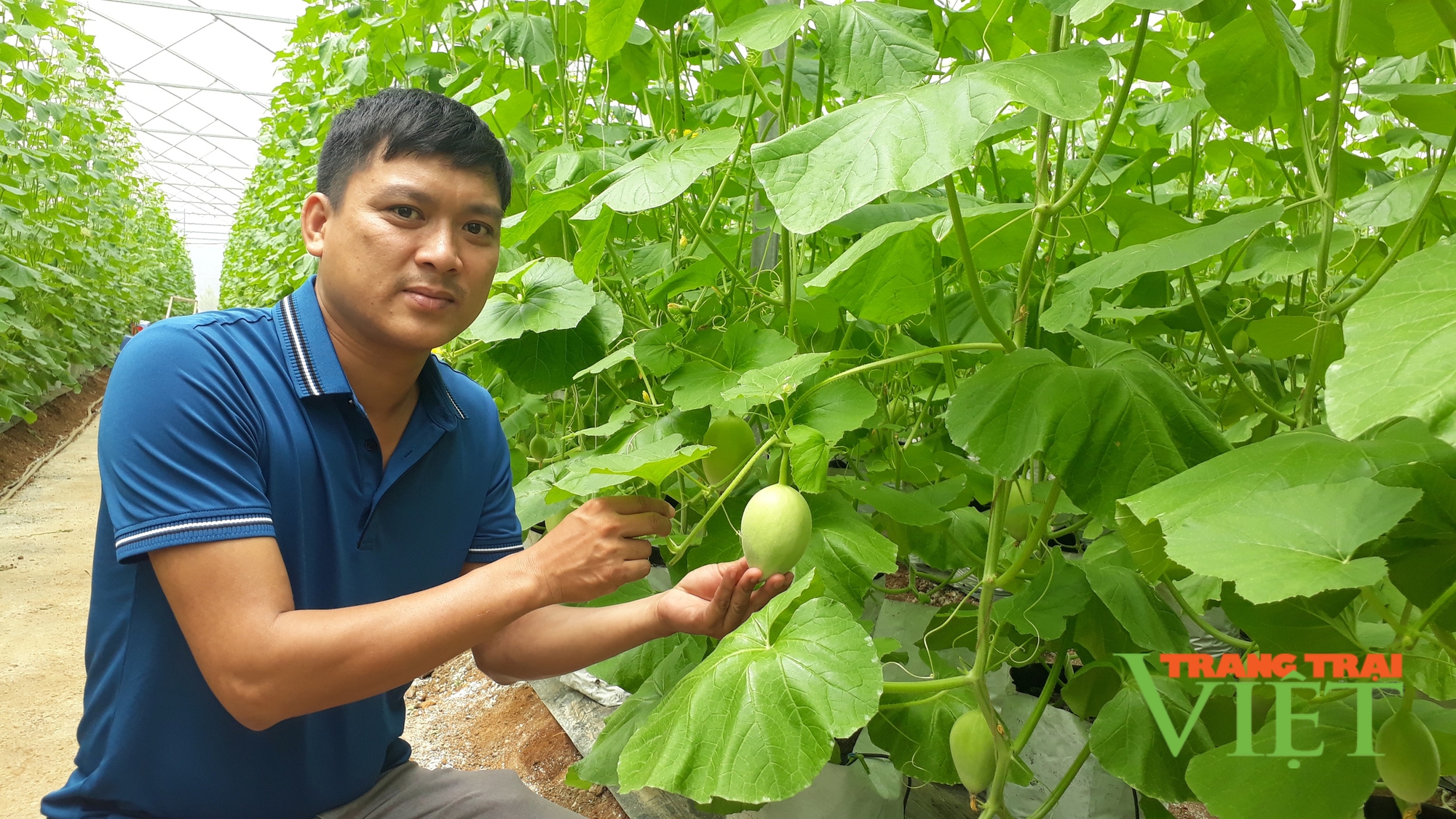 Phát triển nông nghiệp công nghệ cao ở một huyện miền núi của Lai Châu - Ảnh 1.