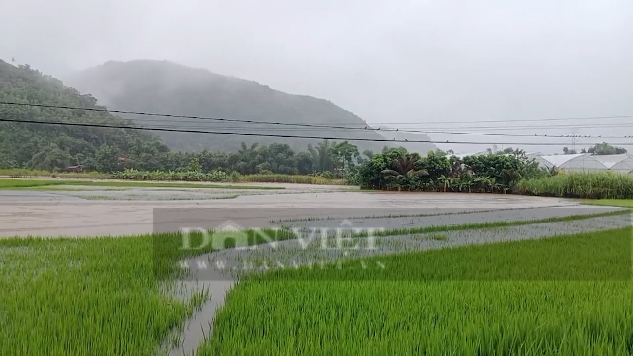 Sơn La: Ảnh hưởng của cơn báo số 3, khiến 1 người chết, 62 ngôi nhà di dời khẩn cấp - Ảnh 2.