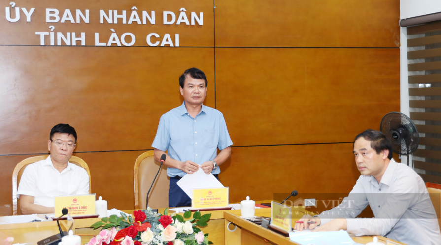 Phó Thủ tướng Lê Thành Long chỉ đạo công tác phòng chống mưa lũ tại Lào Cai- Ảnh 5.