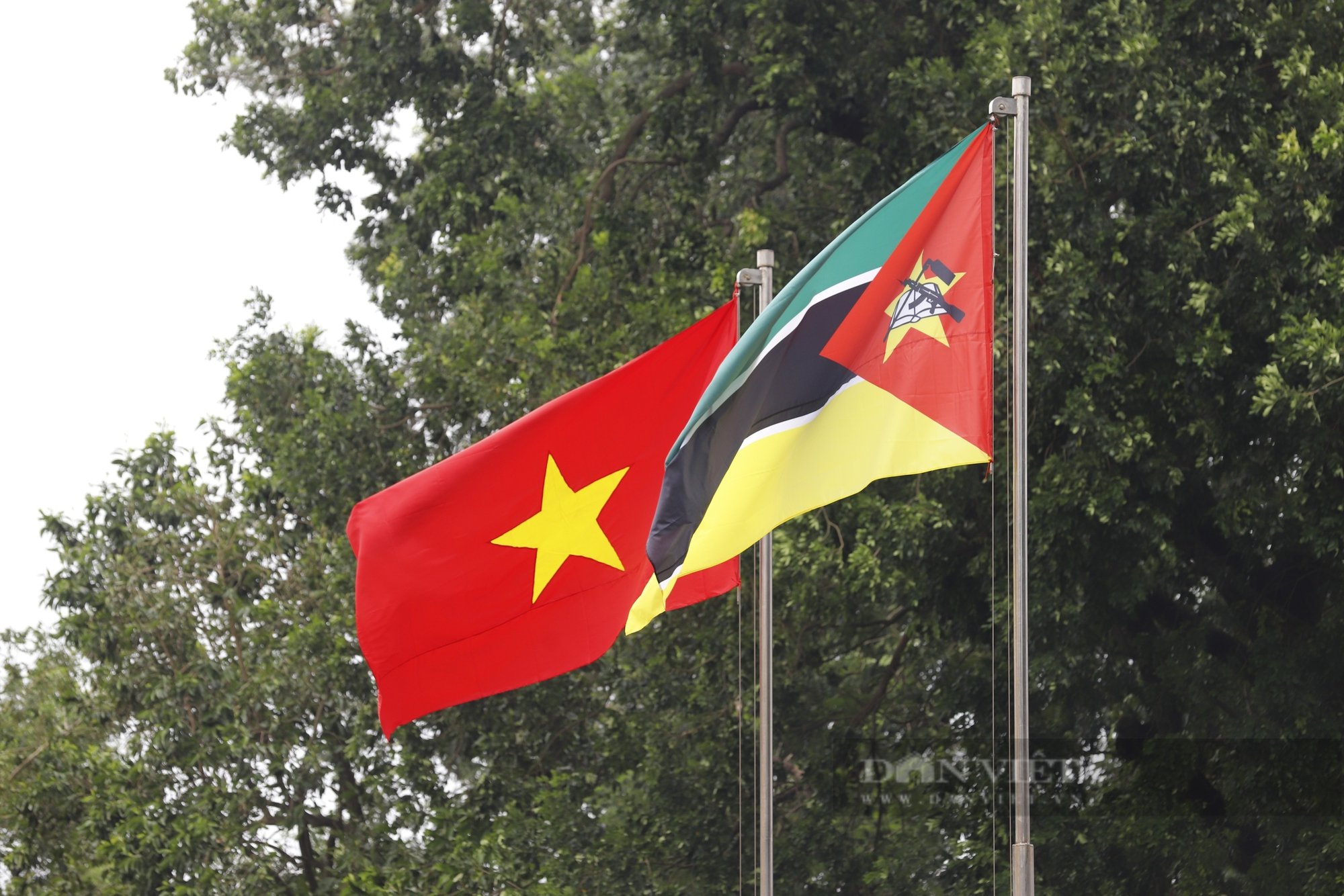 Tổng Bí thư, Chủ tịch nước Tô Lâm chủ trì Lễ đón chính thức Tổng thống Mozambique- Ảnh 9.