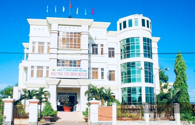 Doanh nghiệp trực thuộc UBND tỉnh Bình Định có đến 382 người: PCT tỉnh chỉ đạo "tinh gọn bộ máy"- Ảnh 2.